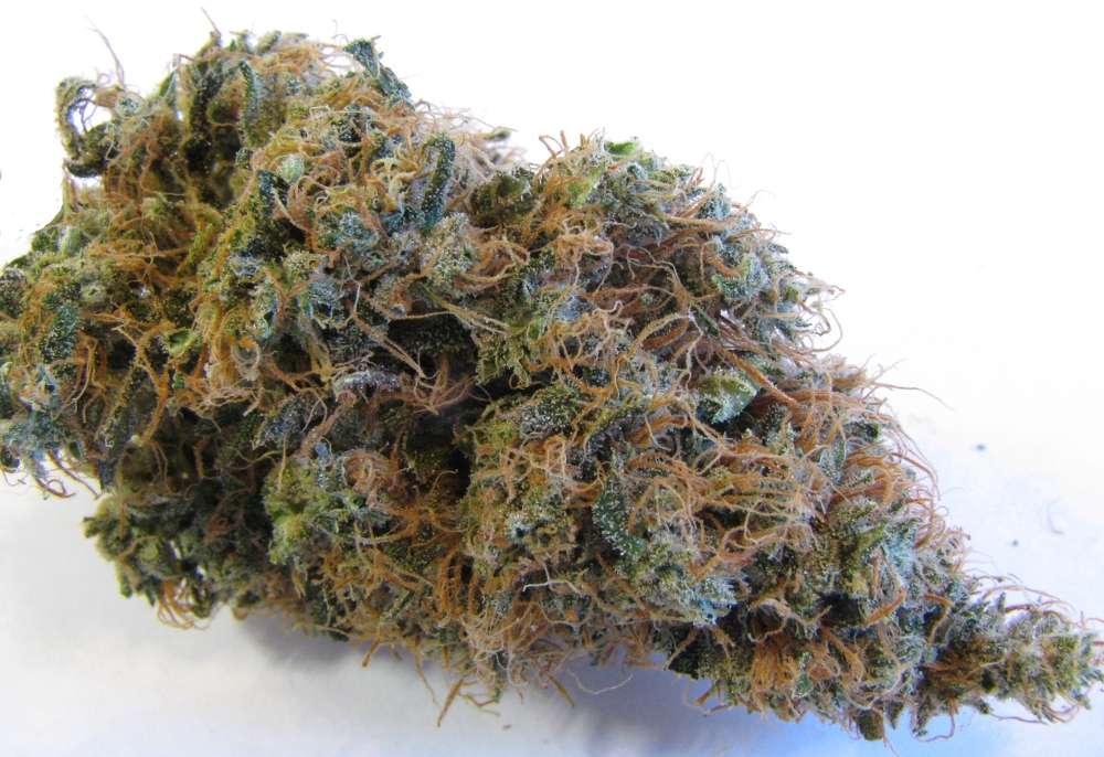 Comment Cultiver Du Cannabis En Interieur Comment Cultiver Du Cannabis En Interieur